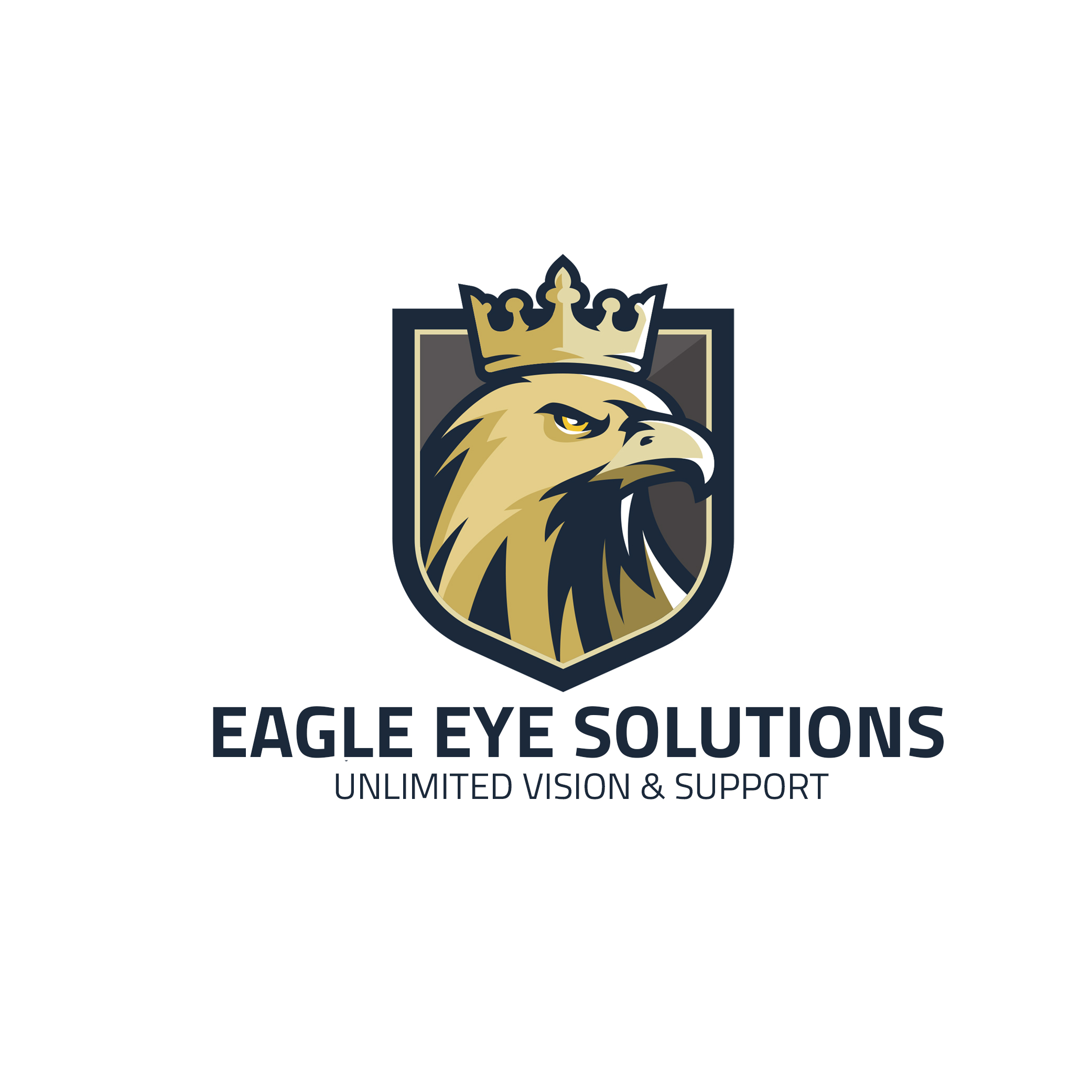 Eagle Eye Solutions logo